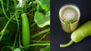 Drinking bottle gourd on an empty stomach can help you lose weight, says my mother